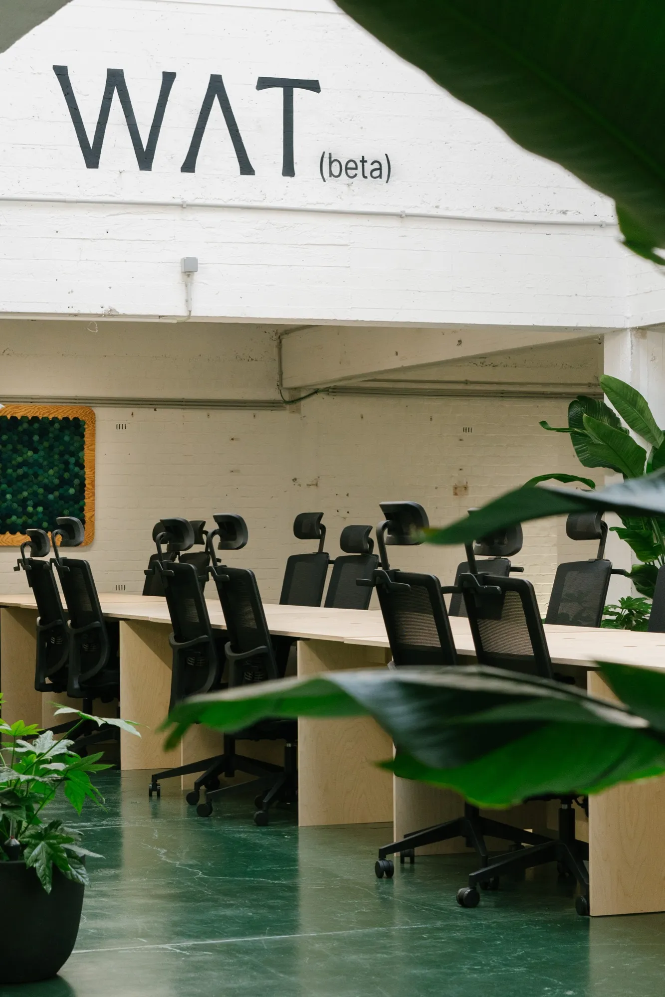 WAT (beta) workspace photograph